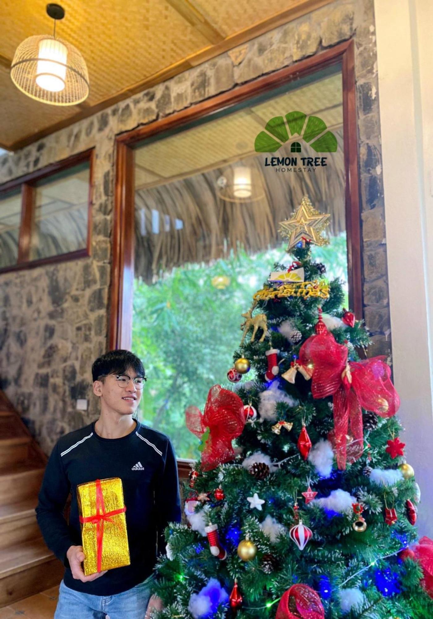 Lemon Tree Homestay Tam Coc Ninh Binh Dış mekan fotoğraf