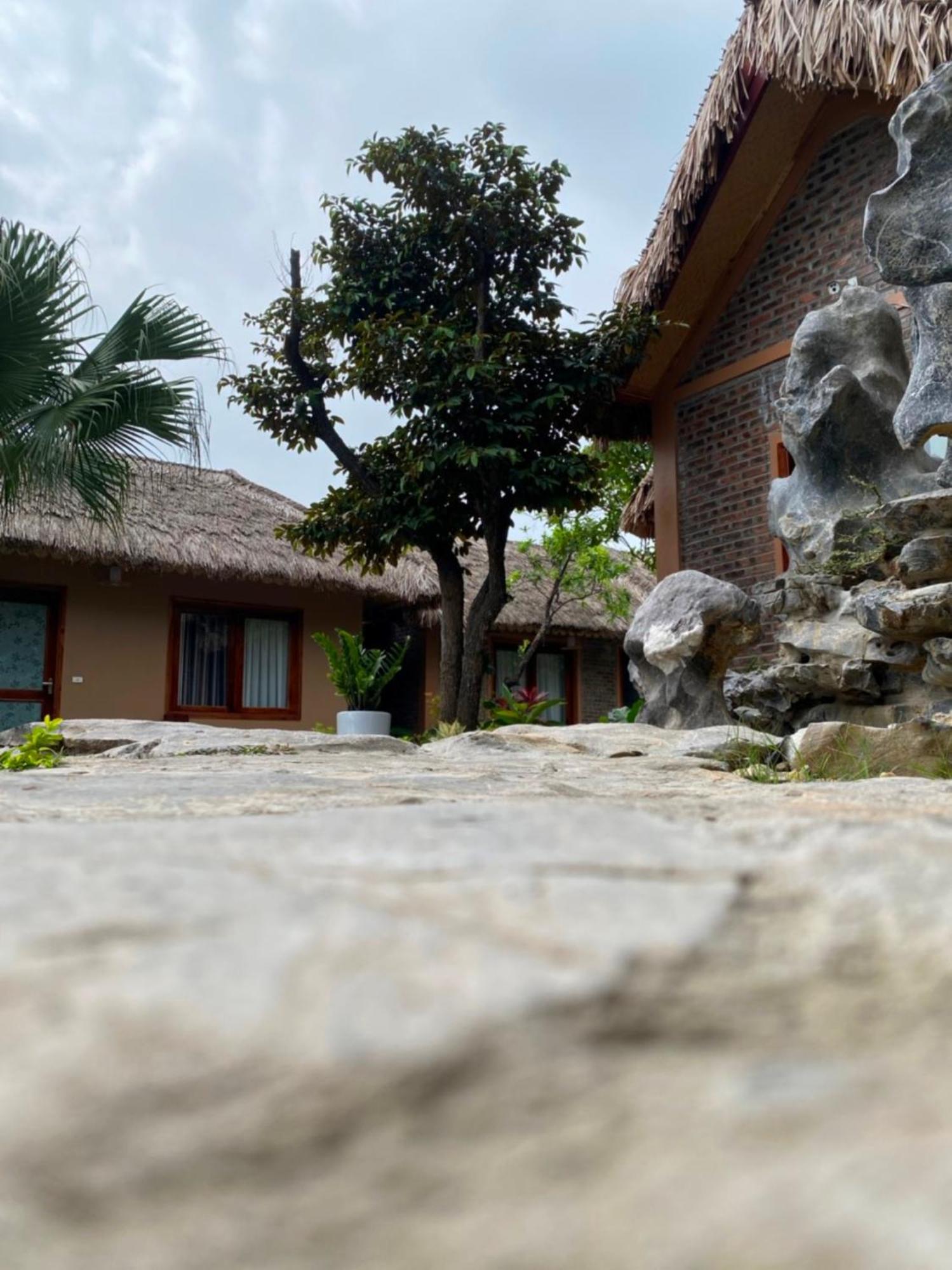 Lemon Tree Homestay Tam Coc Ninh Binh Dış mekan fotoğraf