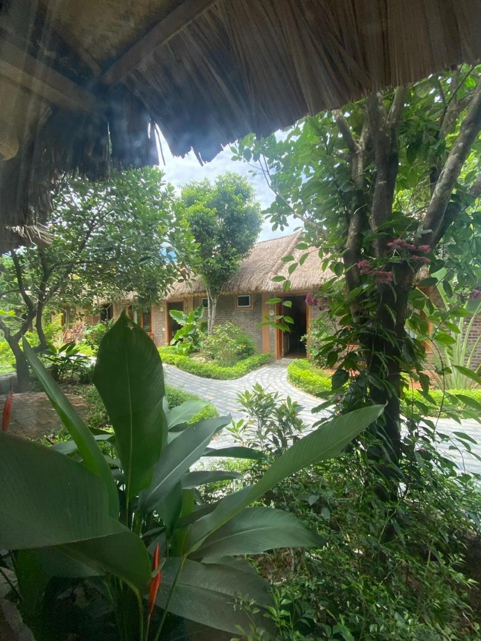 Lemon Tree Homestay Tam Coc Ninh Binh Dış mekan fotoğraf